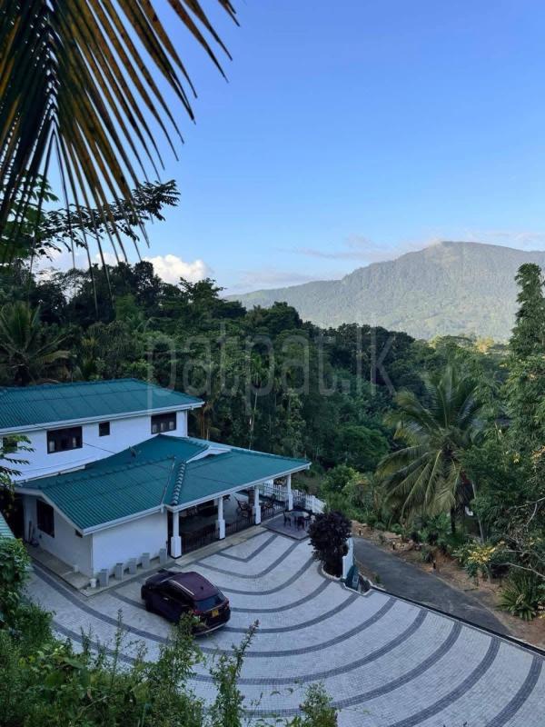 House for Sale in Pelmadulla