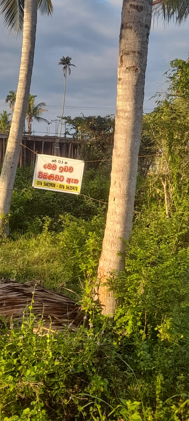 Commercial Land for Sale in Narammala