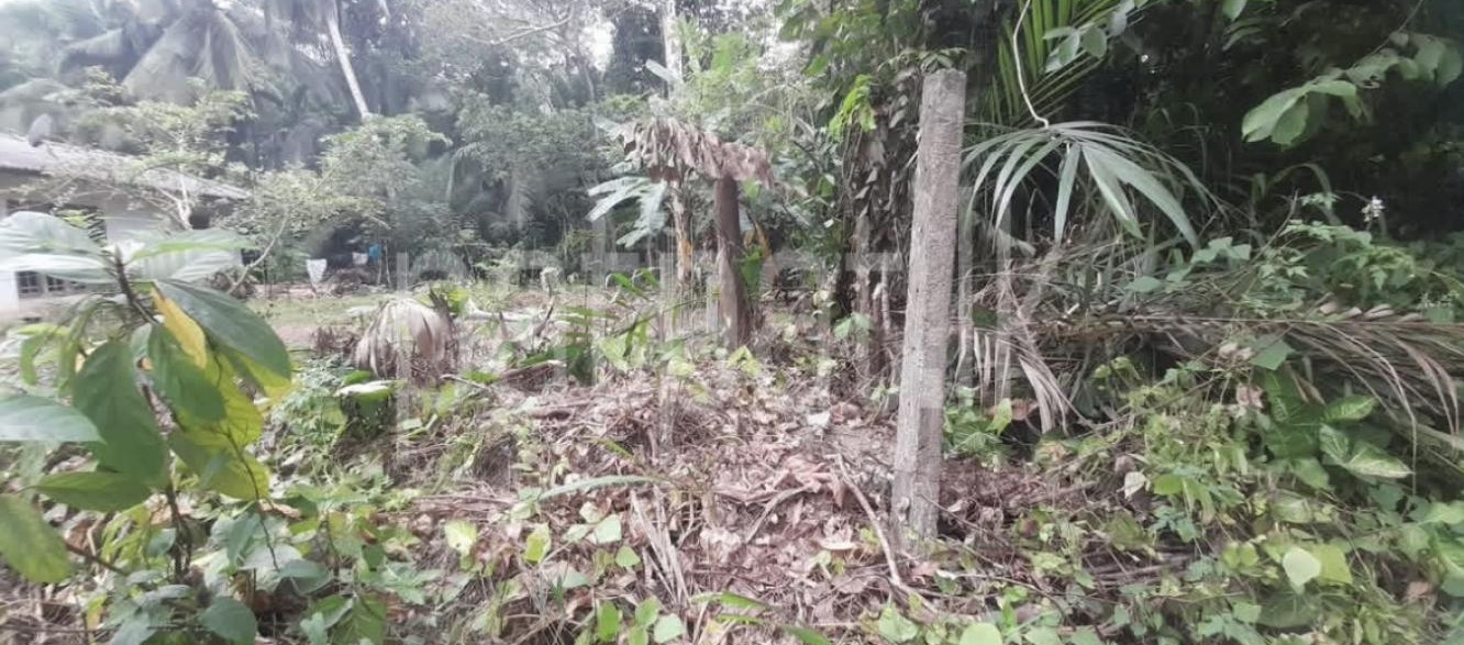 Commercial Land for Sale in Ginimellagaha
