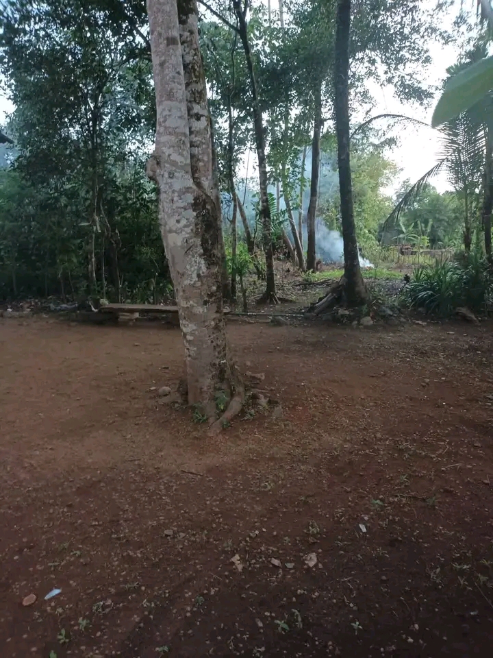 House for Sale in Horana