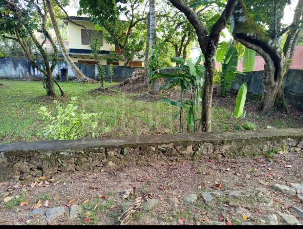 Residential Land for Sale in Kottawa ads-image-1