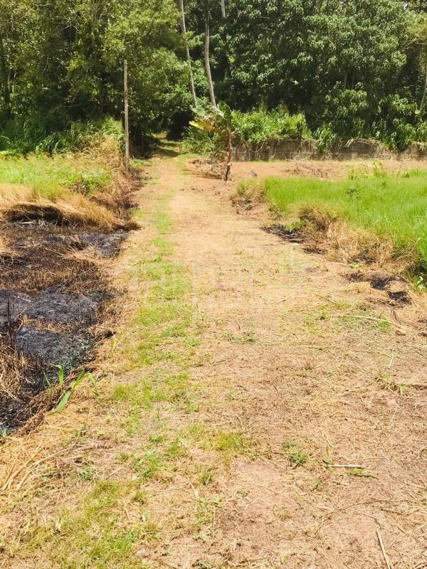 Commercial Land for Sale in Unawatuna