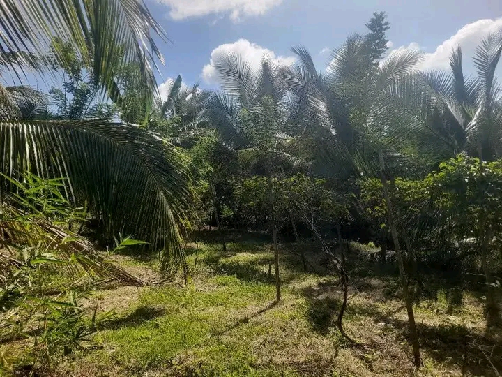 Residential Land for Sale in Ranna