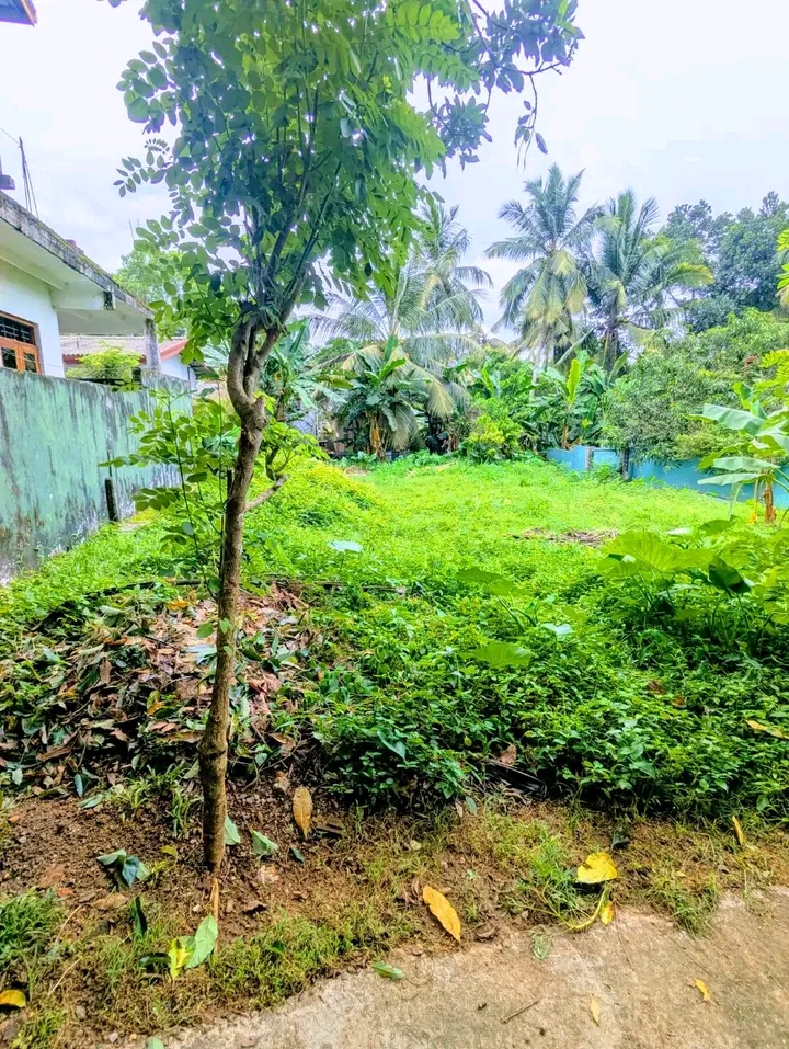 Commercial Land for Sale in Navagamuwa