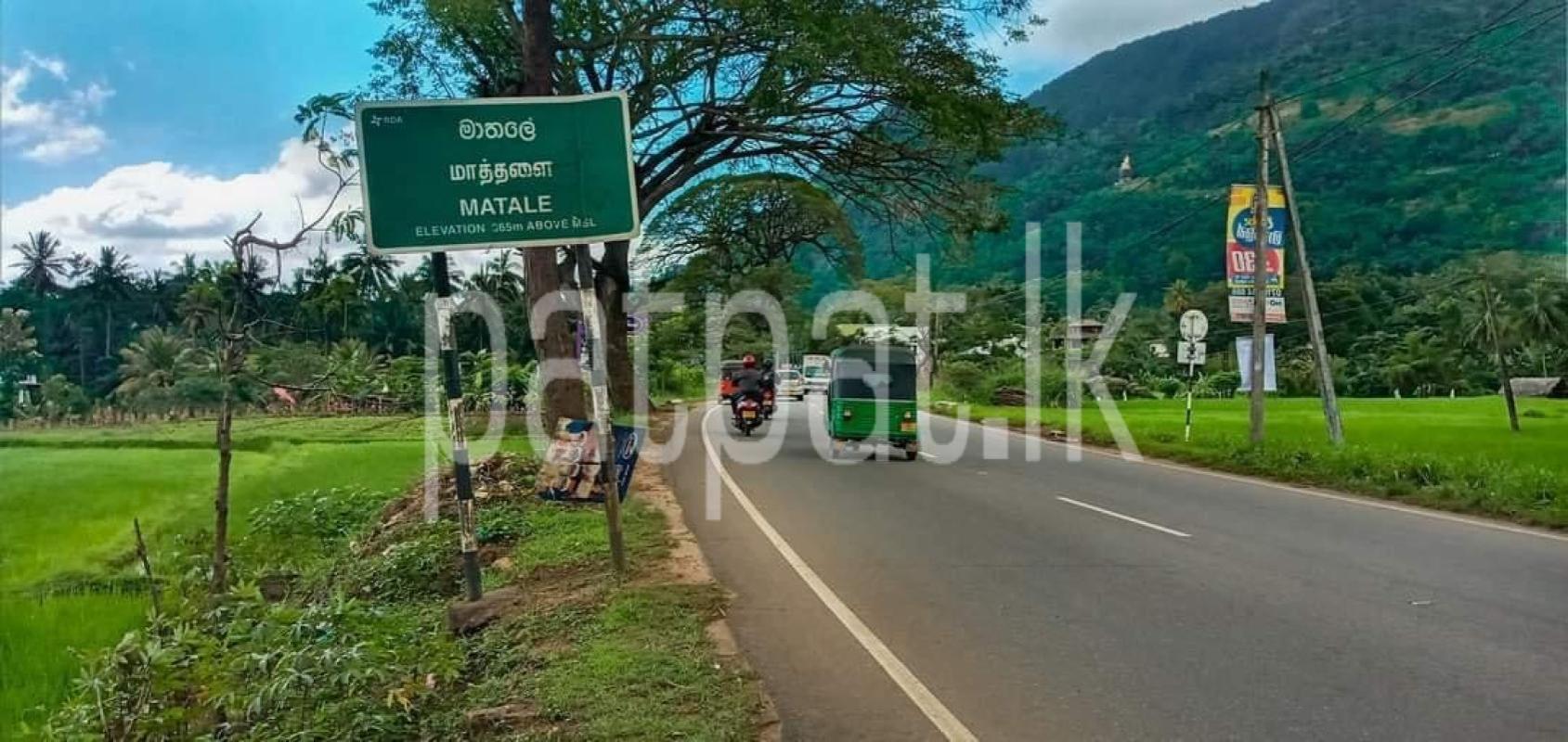 Advertisement image 6