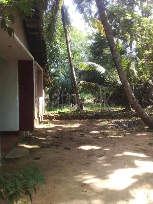 Commercial Land for Sale in Kalugamuwa