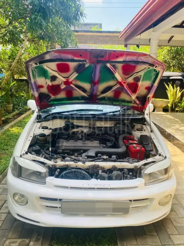 Advertisement image 3