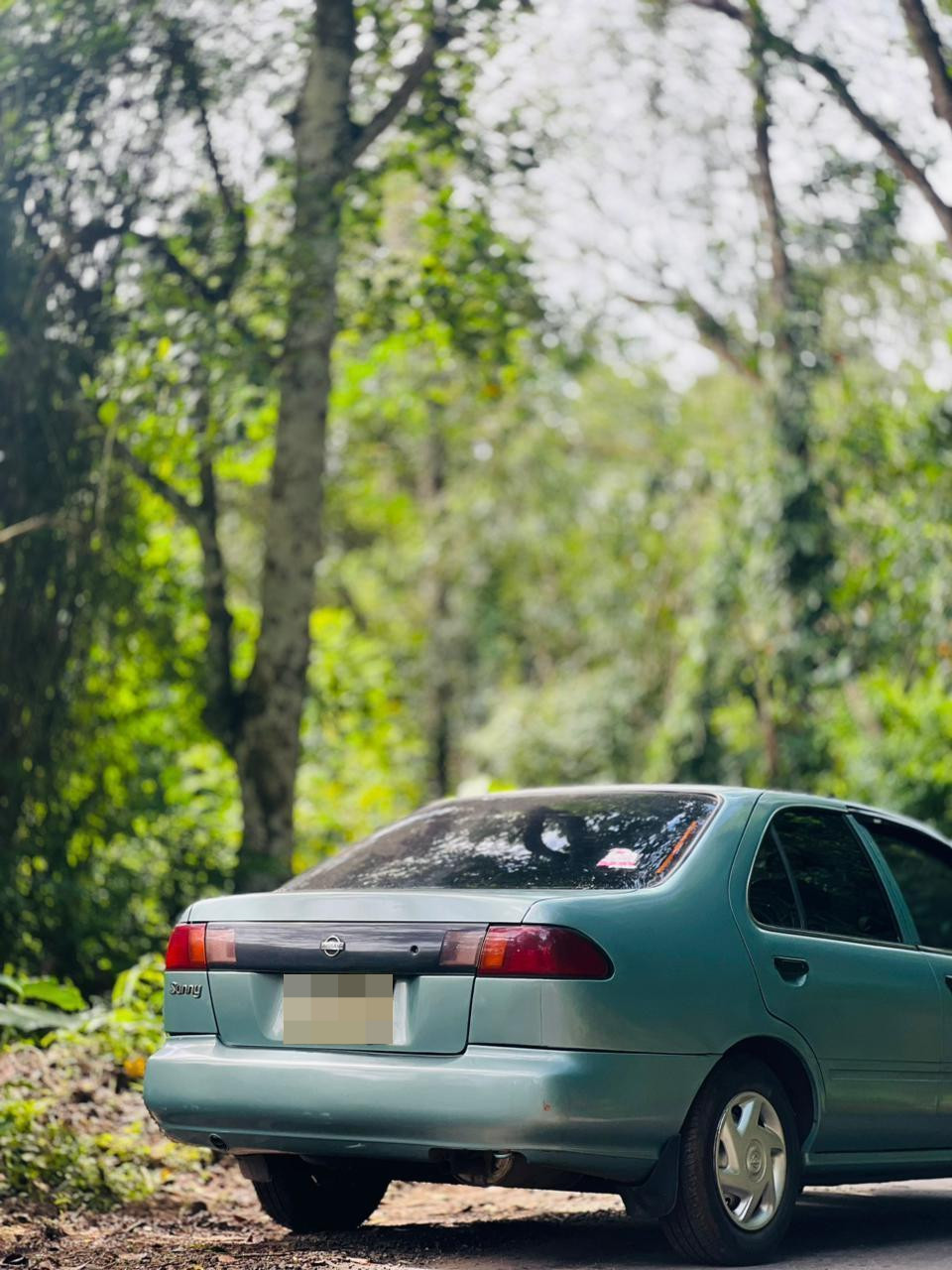 Advertisement image 6