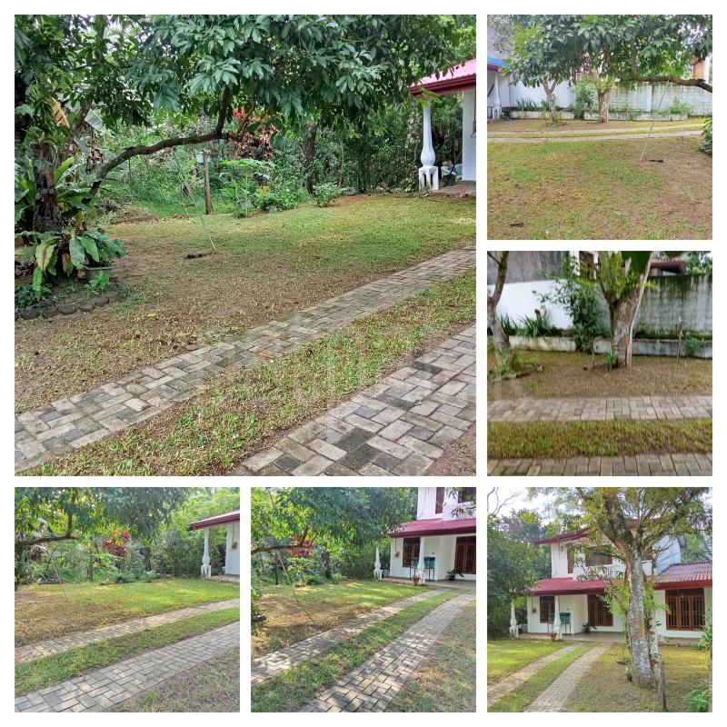 House for Rent in Biyagama IPZ ads-image-1