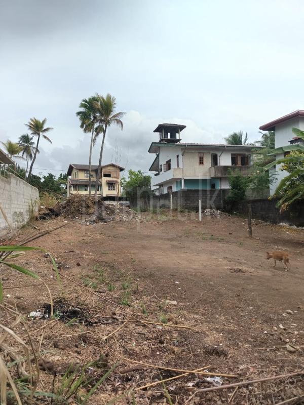 Residential Land for Sale in Yakkala ads-image-1