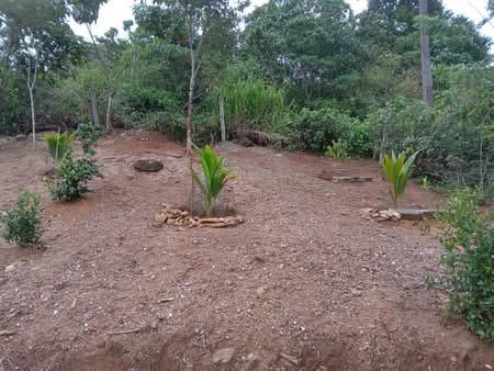 Residential Land for Sale in Homagama