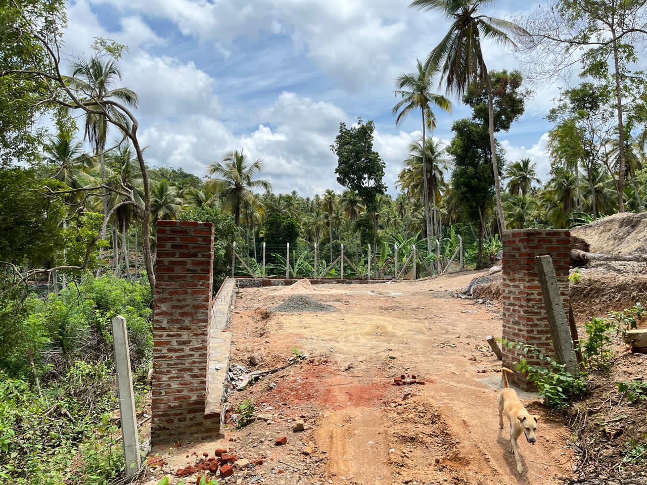 Agricultural Land for Sale in Giriulla ads-image-1