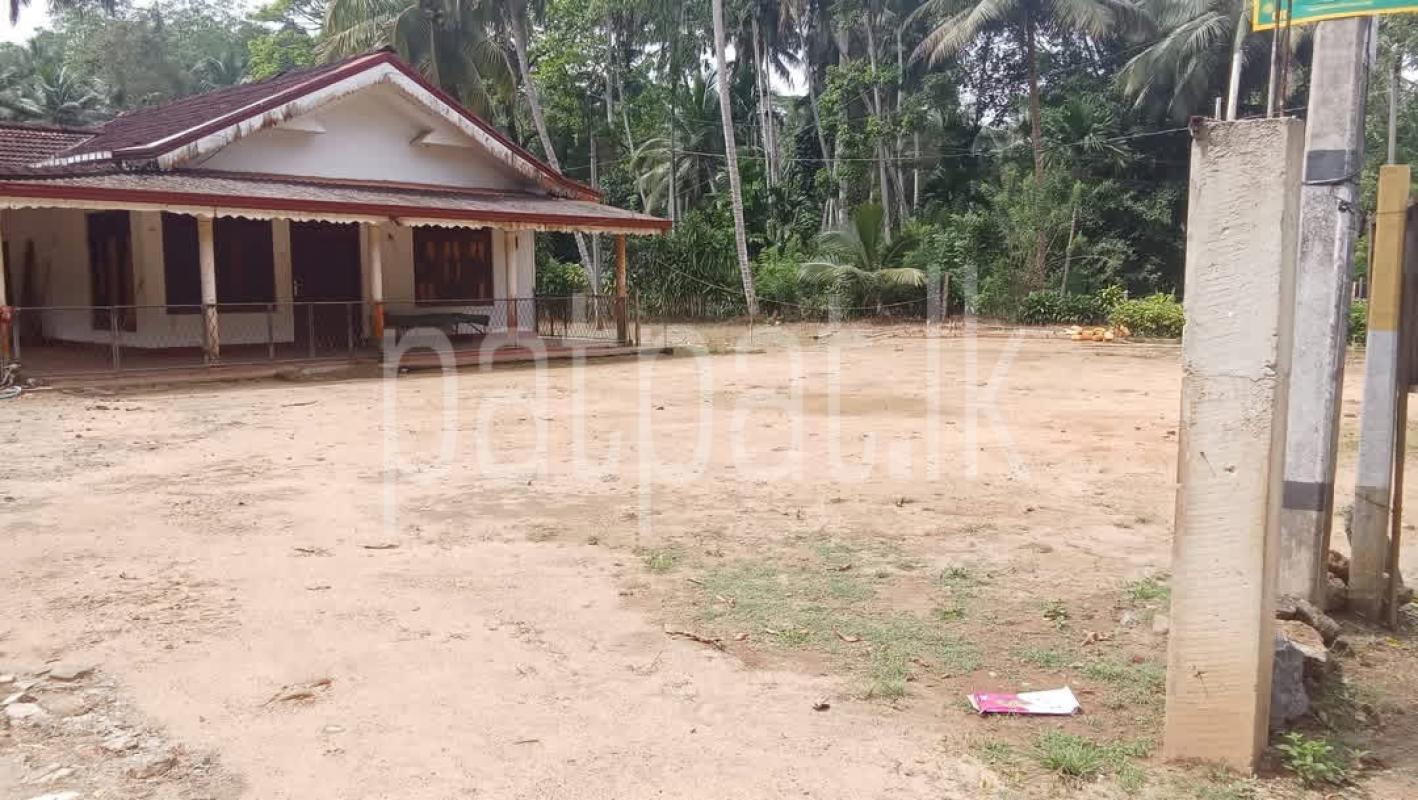 Agricultural Land for Sale in Deniyaya
