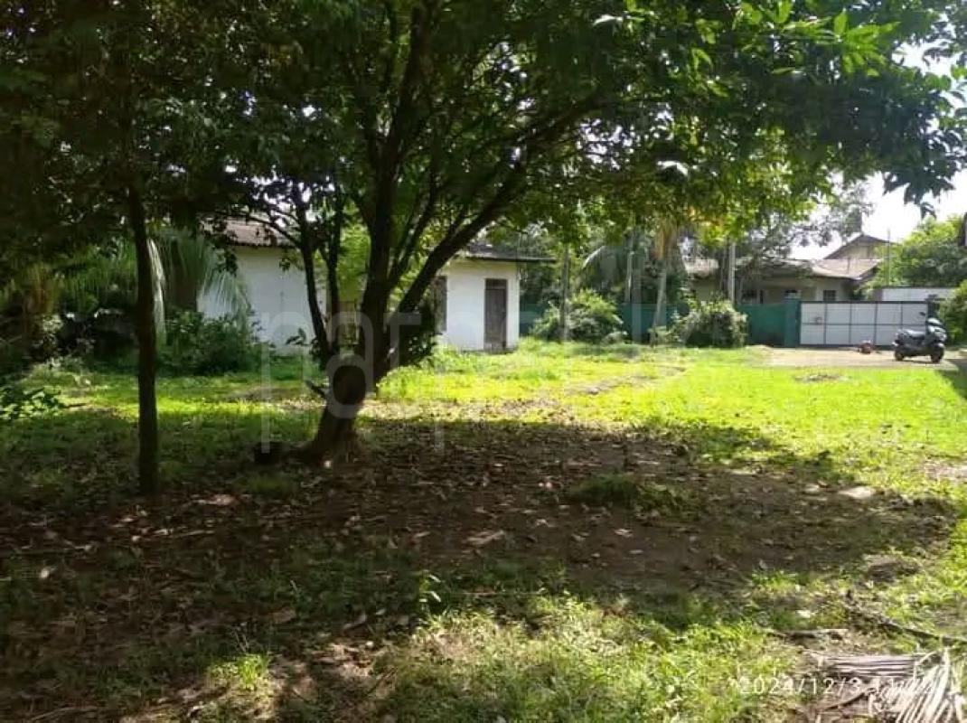 Residential Land for Sale in Malabe