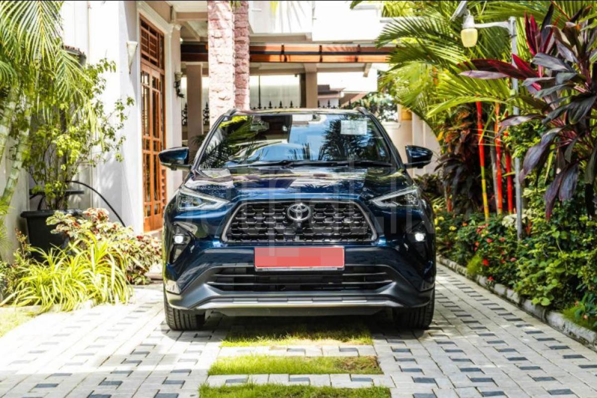 Advertisement image 3