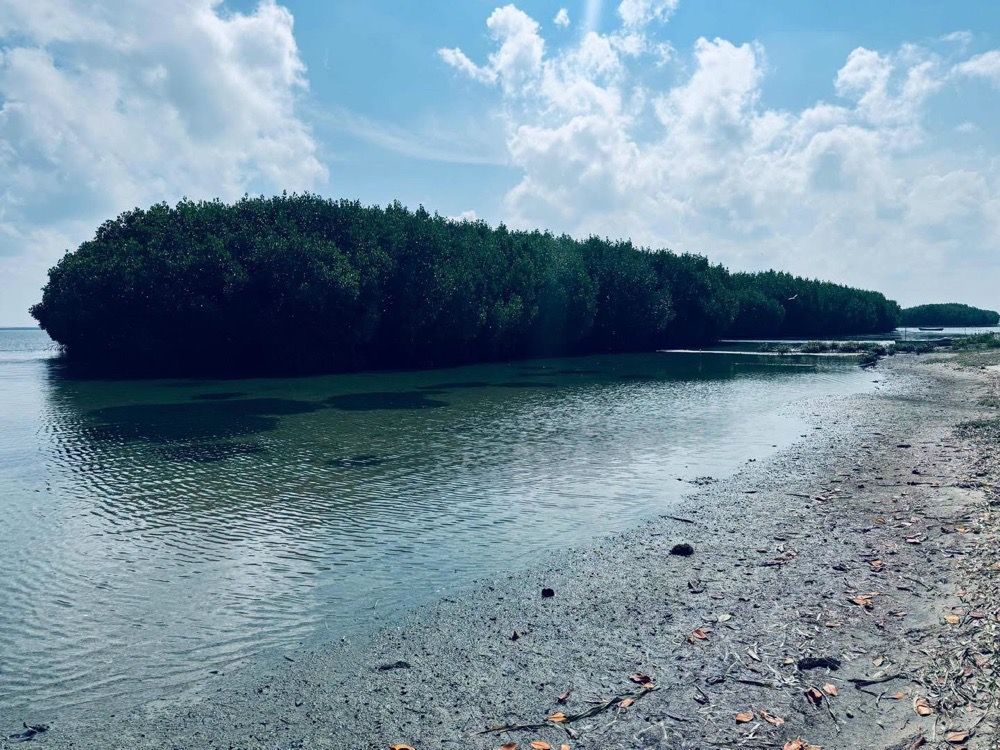 Residential Land for Sale in Kalpitiya
