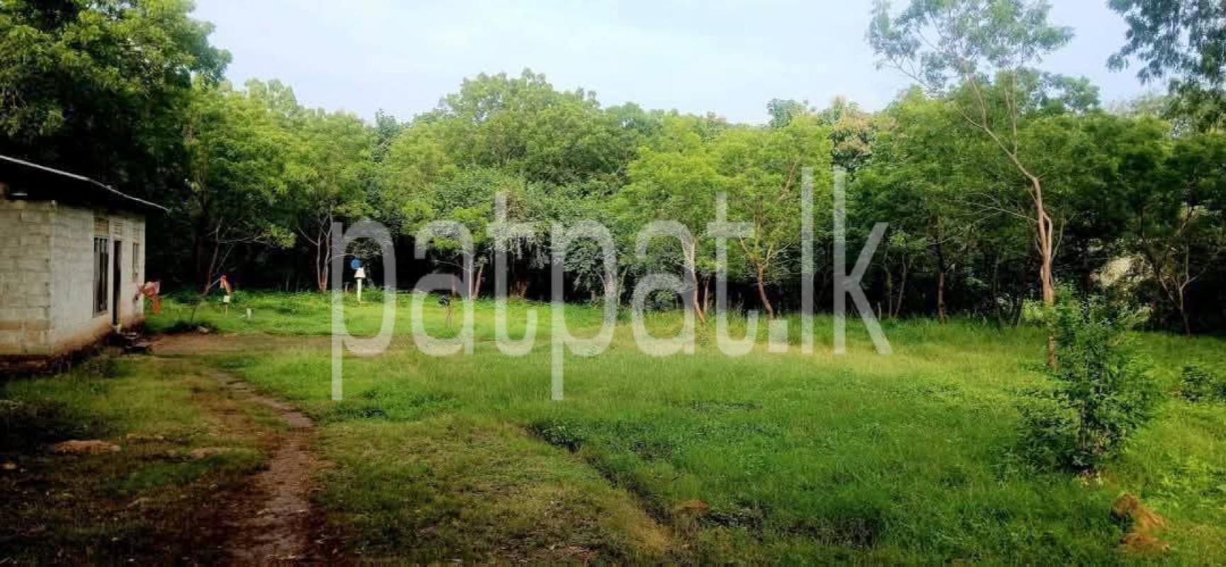 Residential Land for Sale in Kataragama