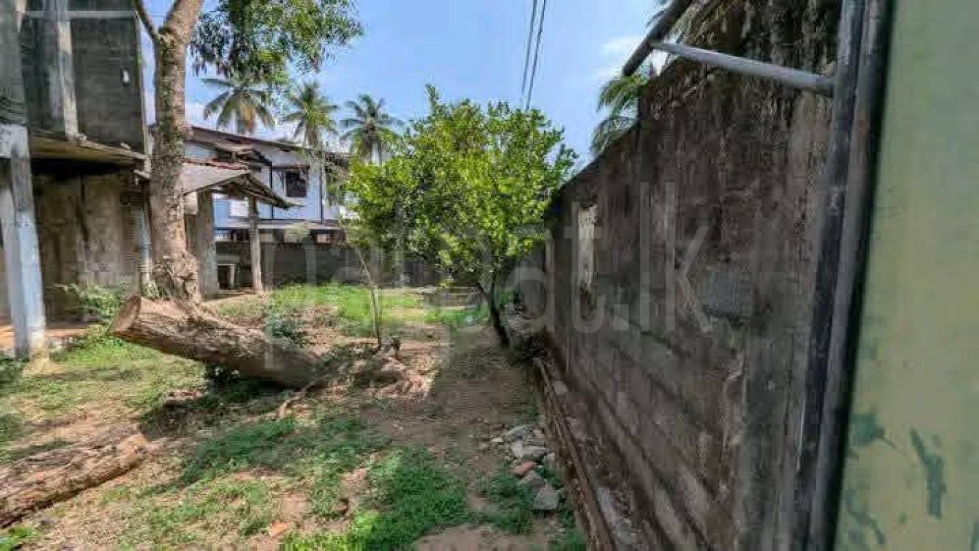 Residential Land for Sale in Kalagedihena