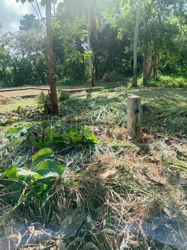 Residential Land for Sale in Kiribathgoda