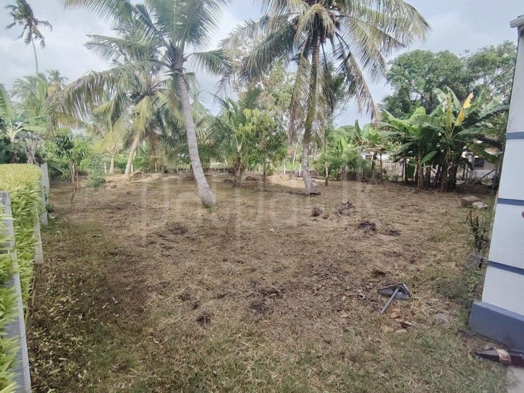 Residential Land for Sale in Negombo