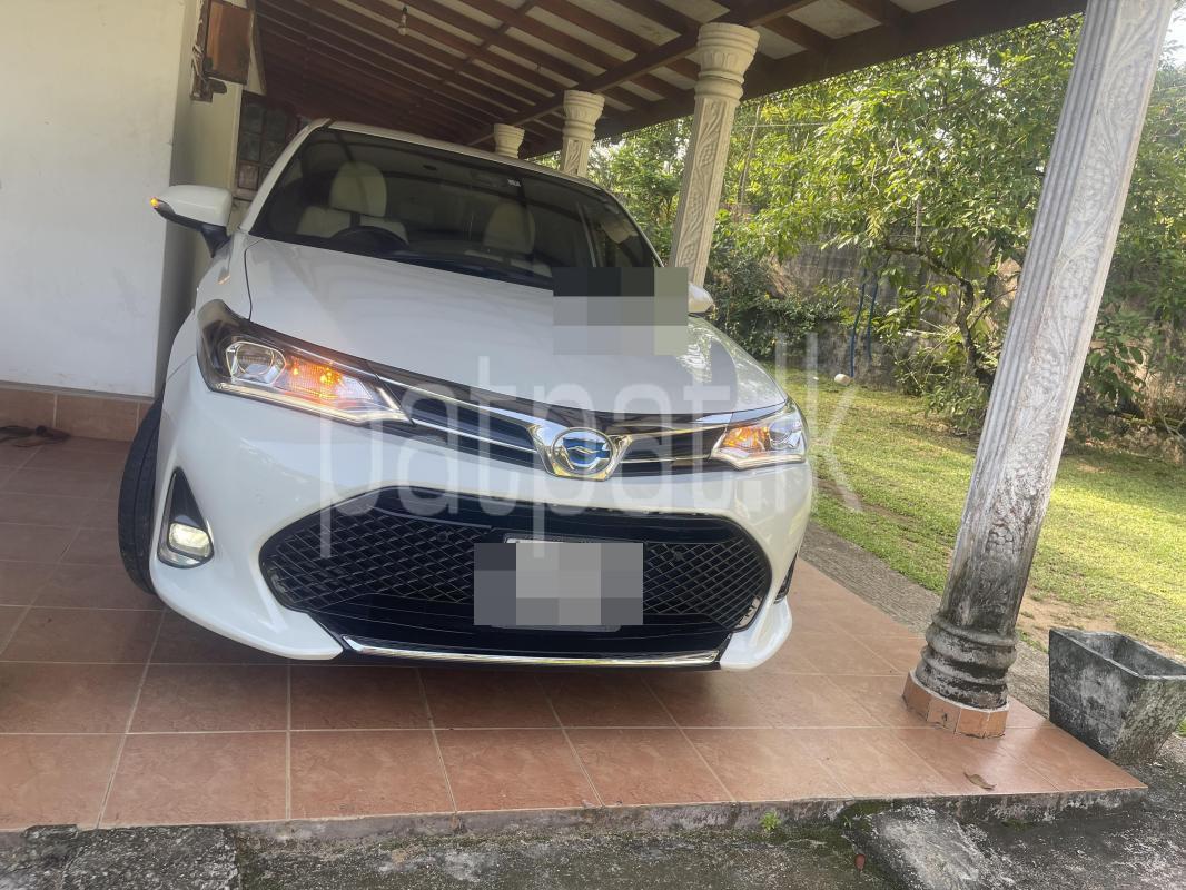 Advertisement image 6