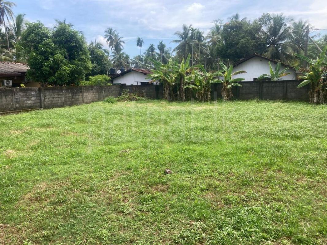 Residential Land for Sale in Ja-Ela ads-image-1