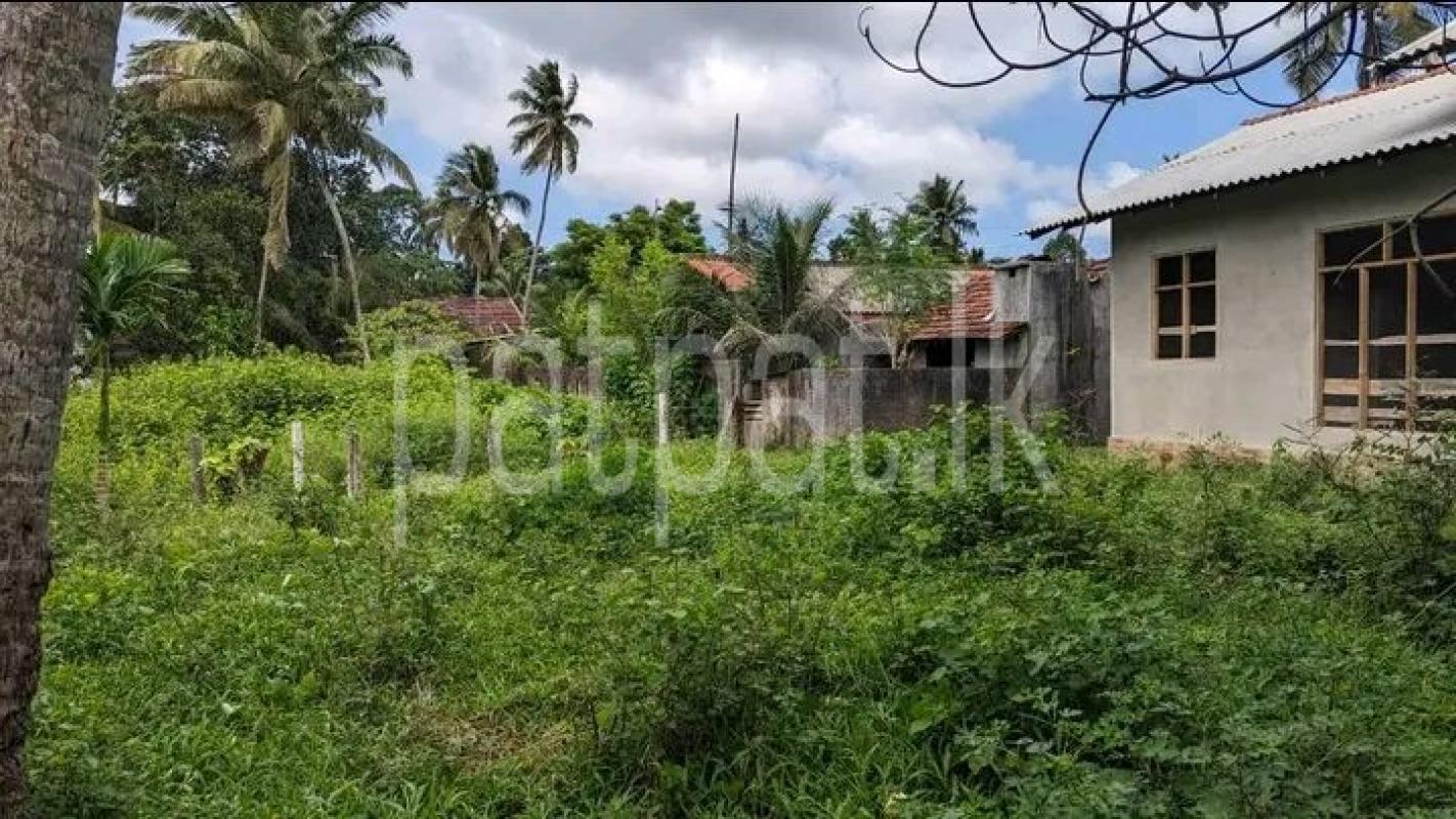 premium-listing-image