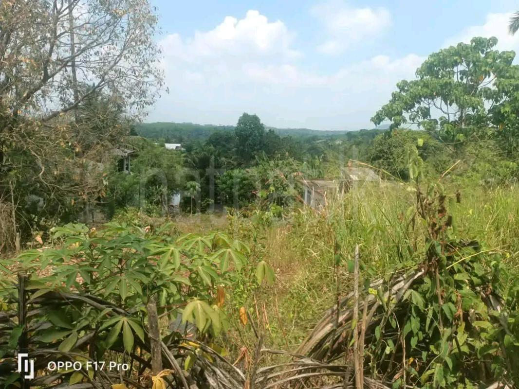 Agricultural Land for Sale in Maho