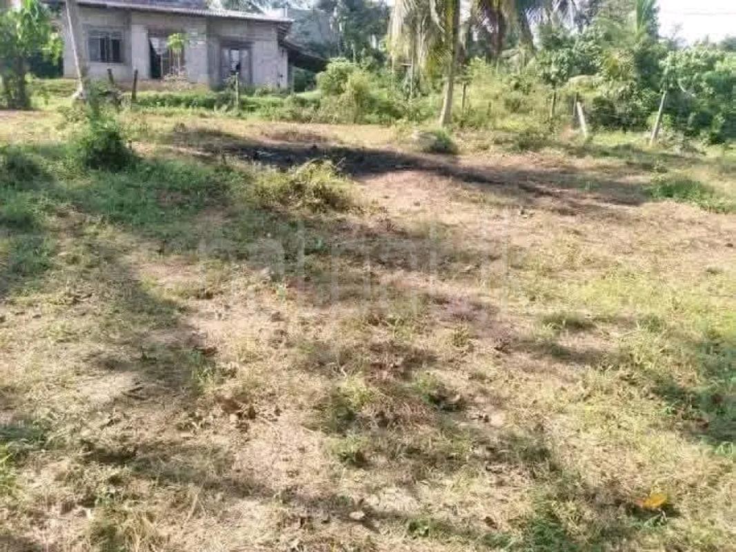 Agricultural Land for Sale in Biyagama