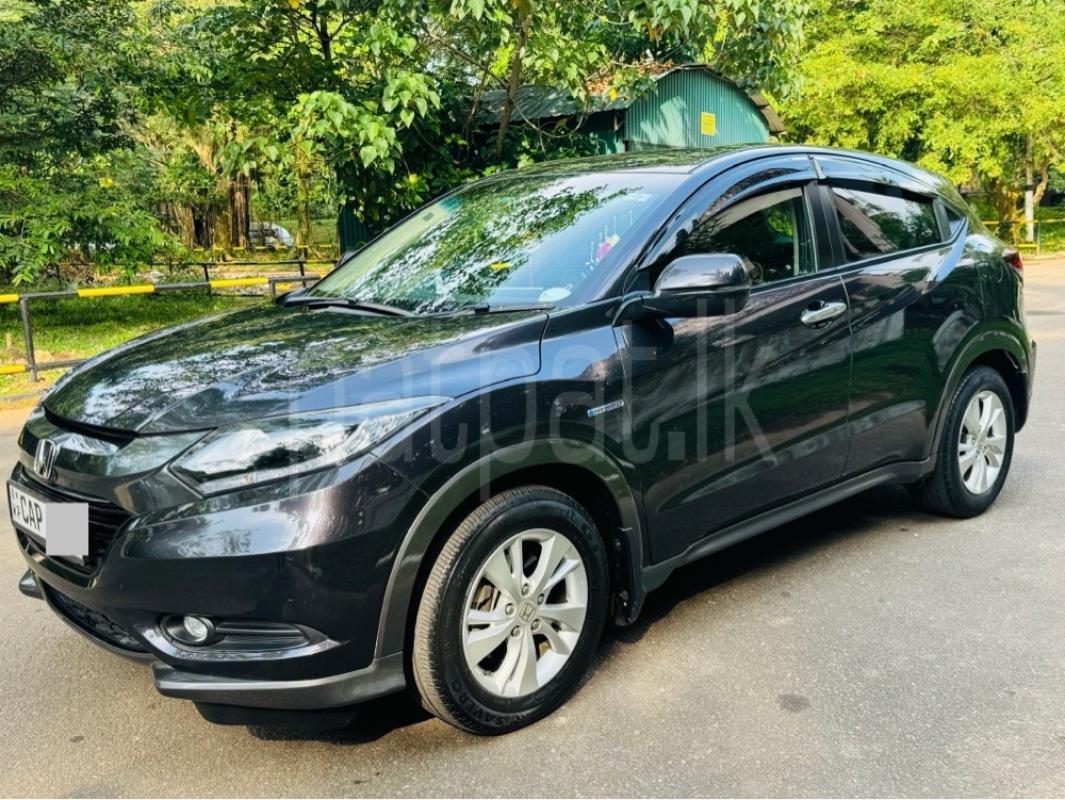 Advertisement image 2