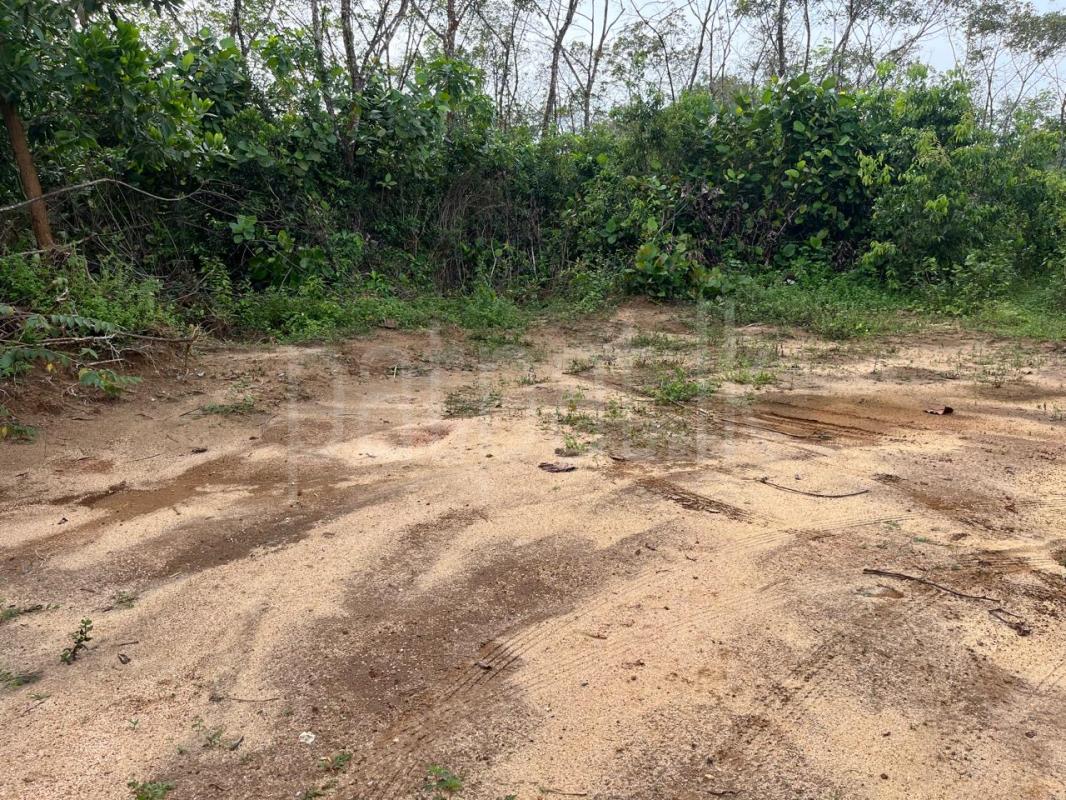 Agricultural Land for Sale in Handapangoda