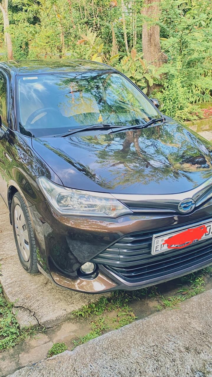Toyota Axio 2015 - Used Car sale in Sri Lanka - patpat.lk