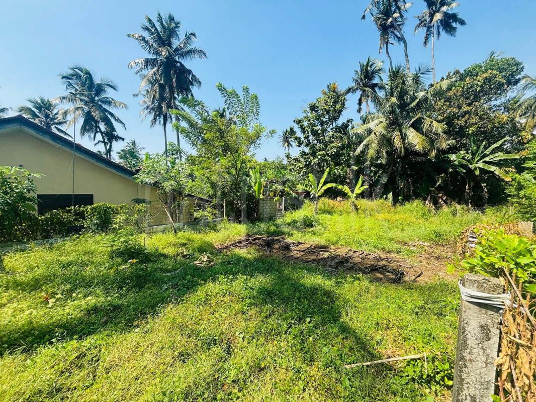 Commercial Land for Sale in Panadura ads-image-1