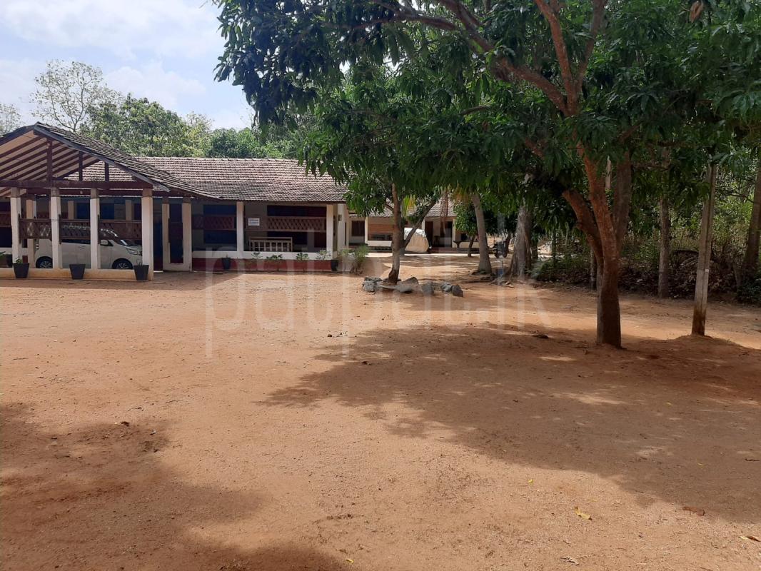 Building for Rent in Sella Kataragama