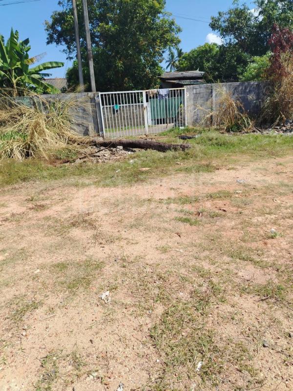 Residential Land for Sale in Wattala ads-image-1