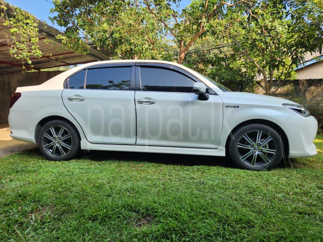 Advertisement image 2