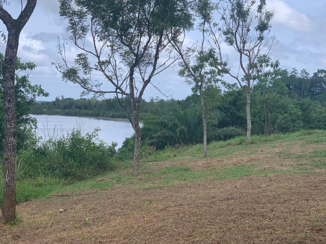 Commercial Land for Sale in Piliyandala