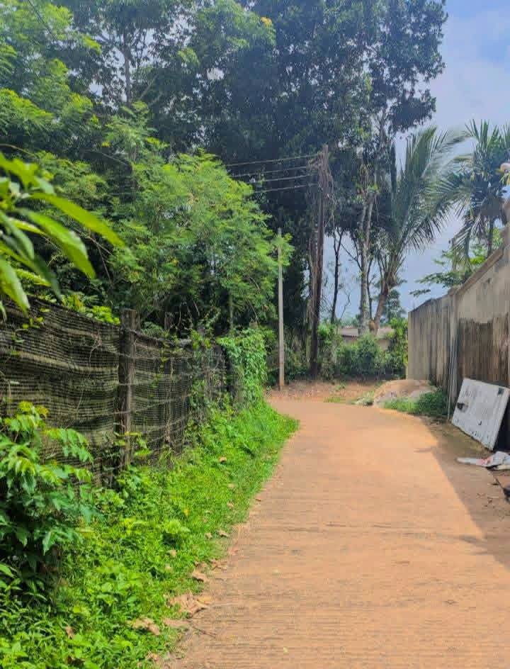House for Sale in Minuwangoda