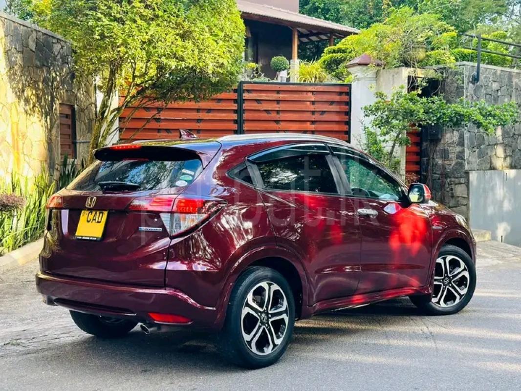 Advertisement image 1