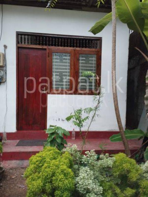 Room for Rent in Nugegoda ads-image-1