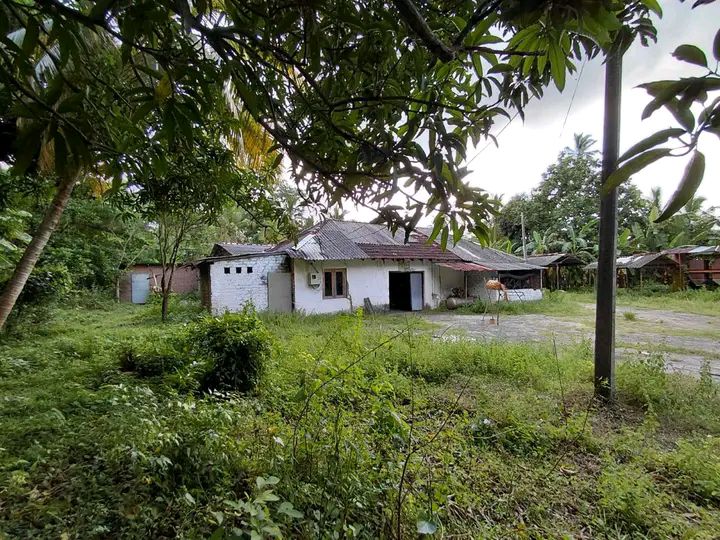 Factory / Workshop for Sale in Wellarawa
