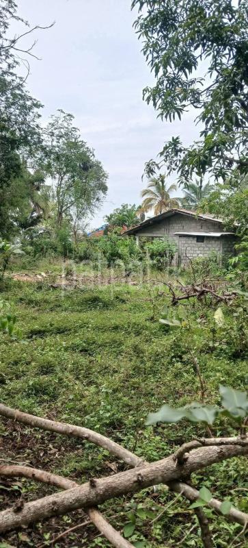 Residential Land for Sale in Kataragama