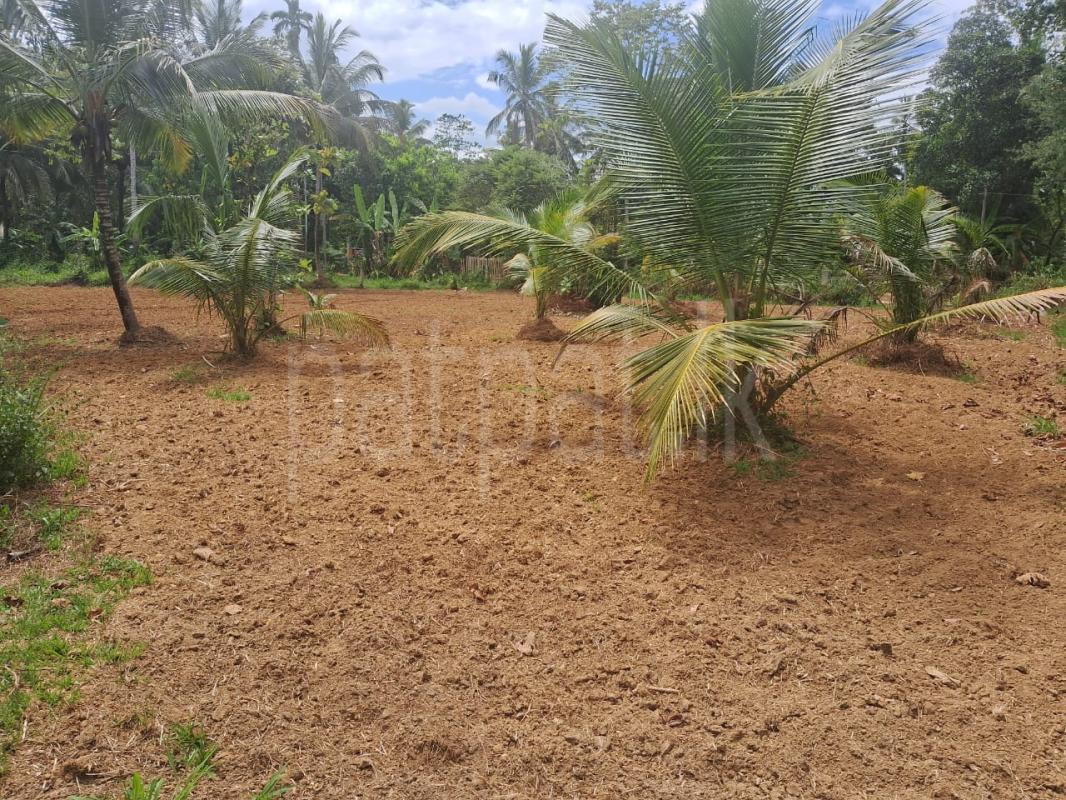 Commercial Land for Sale in Veyangoda ads-image-1