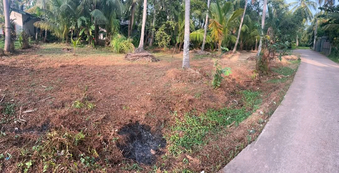Agricultural Land for Sale in Pamunugama
