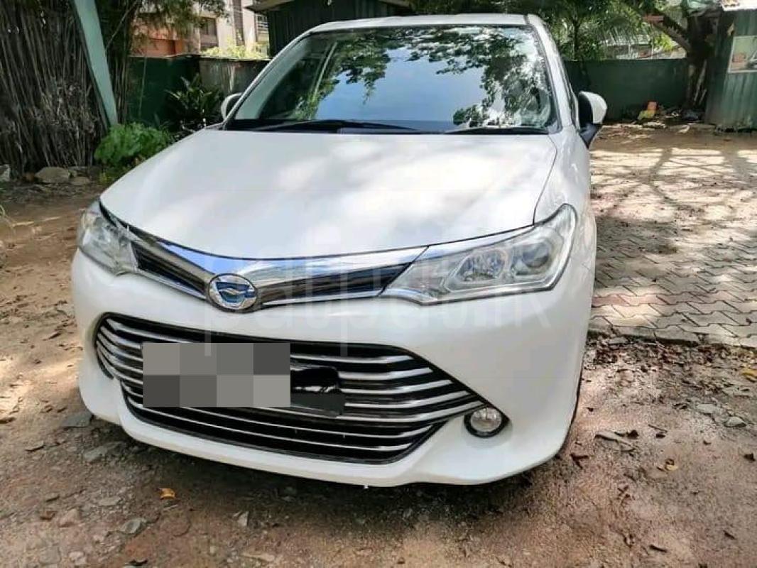 Advertisement image 2