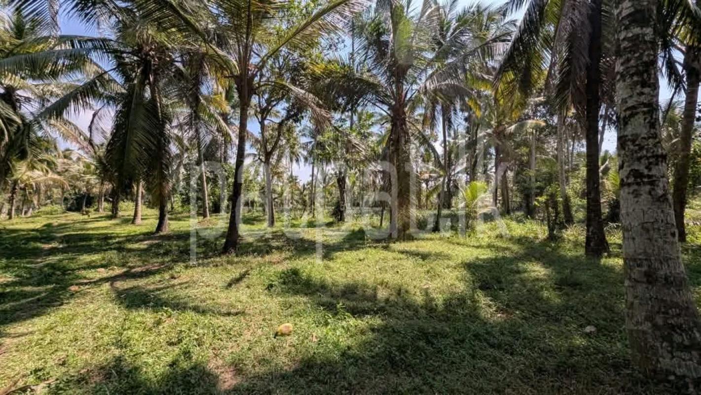 Agricultural Land for Sale in Maho ads-image-1