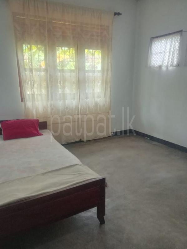 House for Sale in Seeduwa ads-image-1