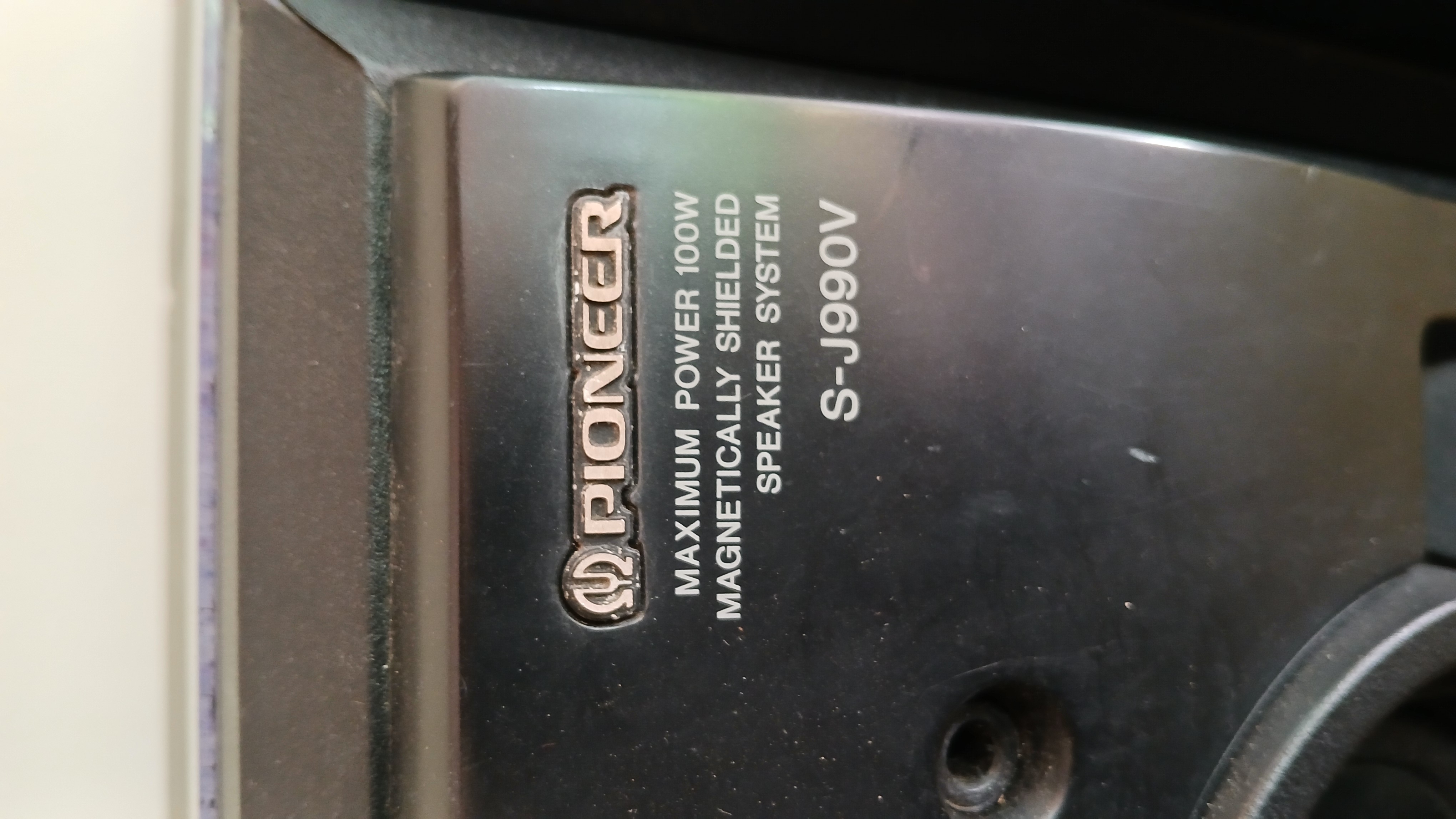 Pioneer Speaker Buffel