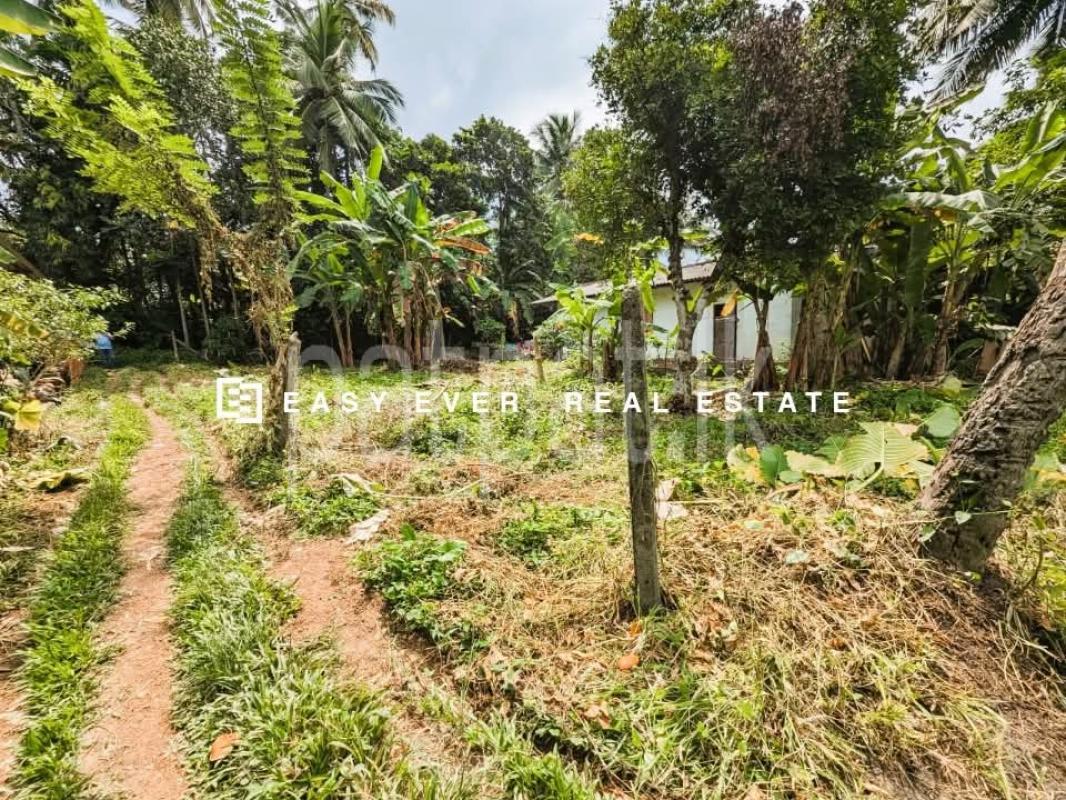 Residential Land for Sale in Kirindiwela