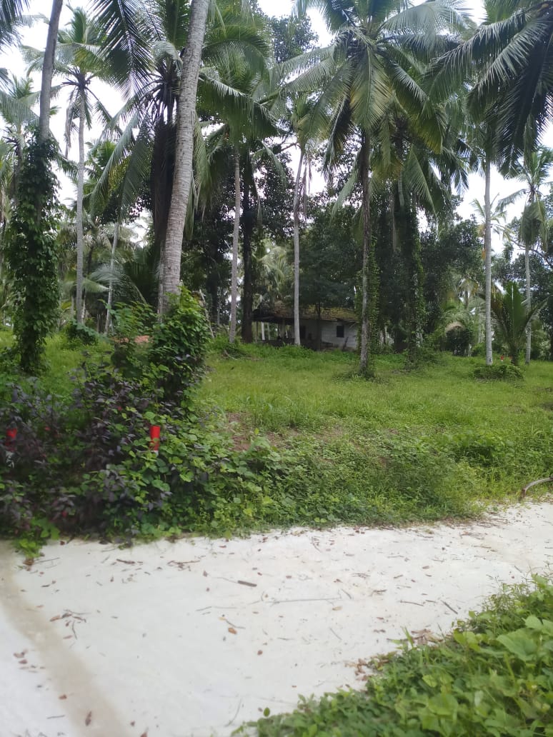 Residential Land for Sale in Yakkala